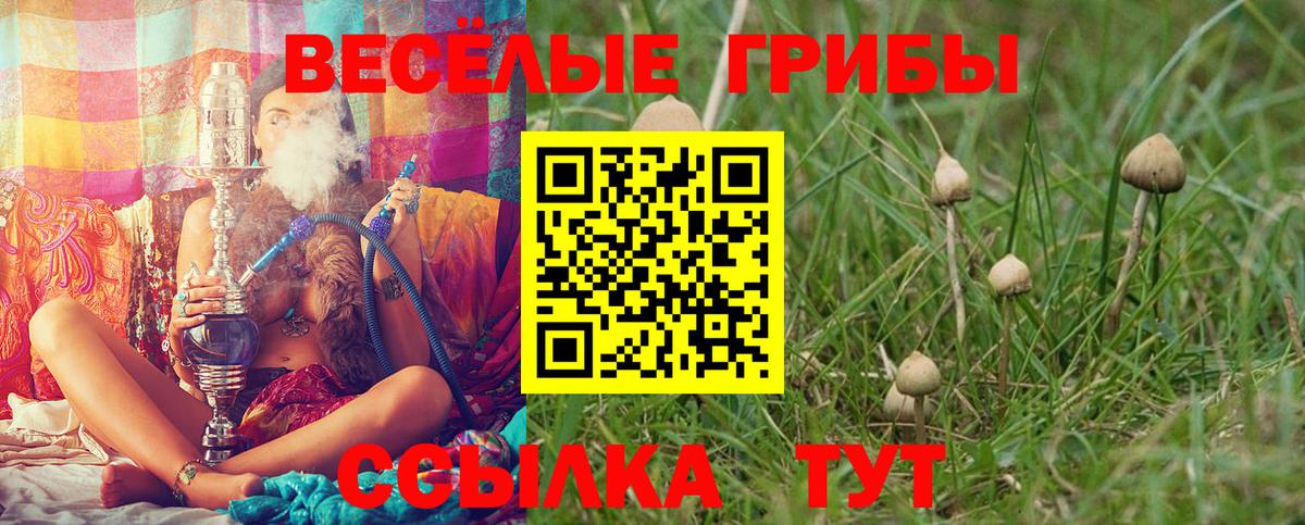 Псилоцибиновые грибы MAGIC MUSHROOMS  Галлюциногенные грибы мухоморы  Дятьково 