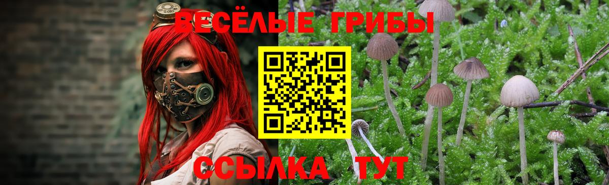 Галлюциногенные грибы MAGIC MUSHROOMS  Вход с VPN  Дятьково 